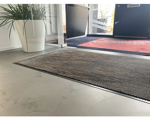 Entree met schoonloopmat en plant in pot