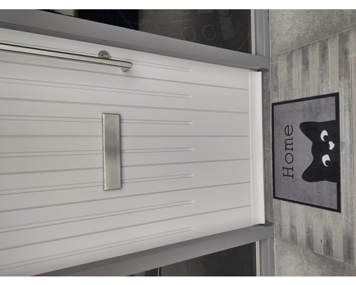 Moderne voordeur met brievenbus en deurmat met kattenmotief