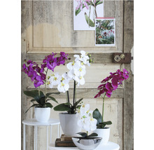 Decoratieve kunstmatige orchideeën in potten op een tafel voor een houten wand