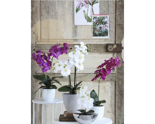 Decoratieve kunstmatige orchideeën in potten op een tafel voor een houten wand
