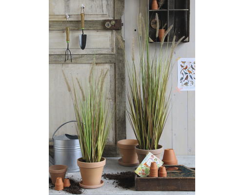 Decoratieve tuinscène met grassen in terracotta potten, gieter en tuingereedschap