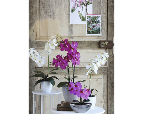 Decoratieve orchideeën in potten op kleine tafels voor een houten deur