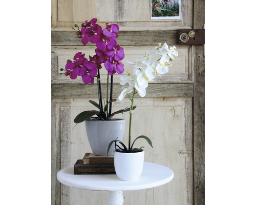 Twee orchideeën in potten op een tafel voor een houten deur