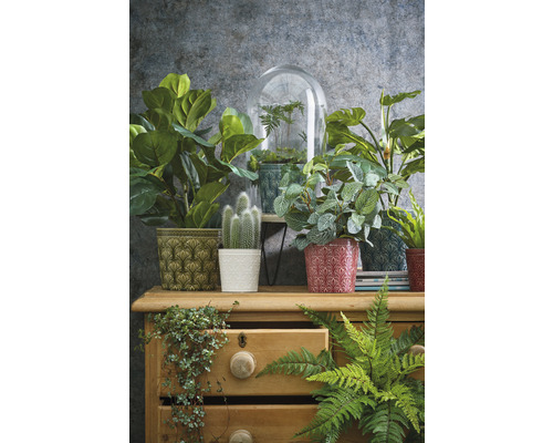 Decoratieve kamerplanten in potten met patronen op een houten commode.