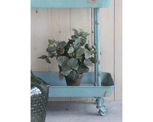 Serveertrolley met plant in pot