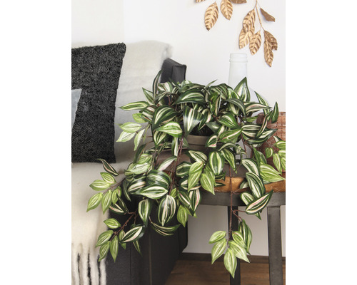 Decoratieve kamerplant op een bijzettafel