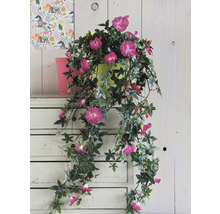 Klimplant met roze bloemen in een pot