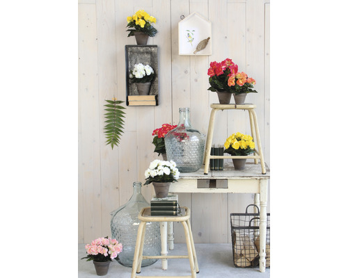 Decoratieve scène met bloemen, flessen en meubels op een houten achtergrond