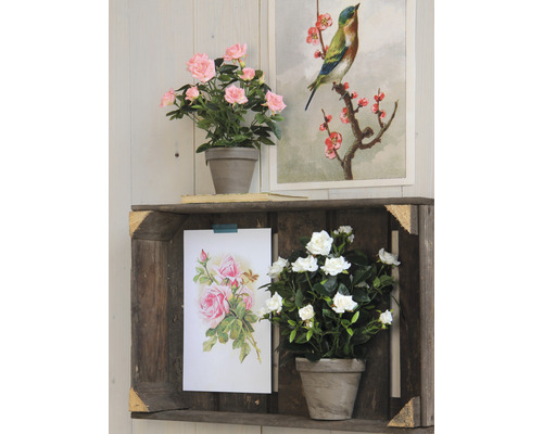 Decoratieve scène met houten plank, kunstbloemen en ingelijste afbeeldingen