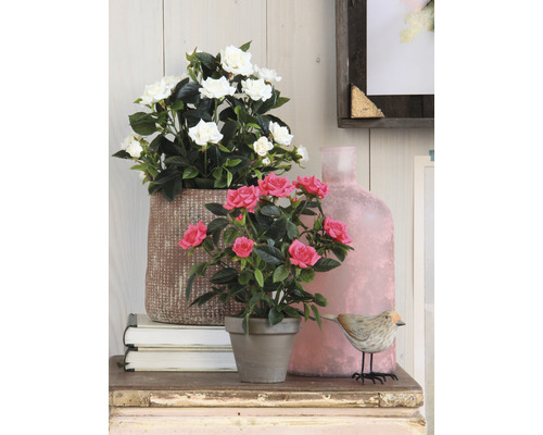 Decoratieve scène met rozen en decoratieve elementen op een tafel