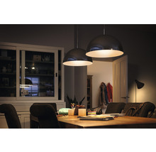 Twee hanglampen boven een eettafel in een eetkamer.