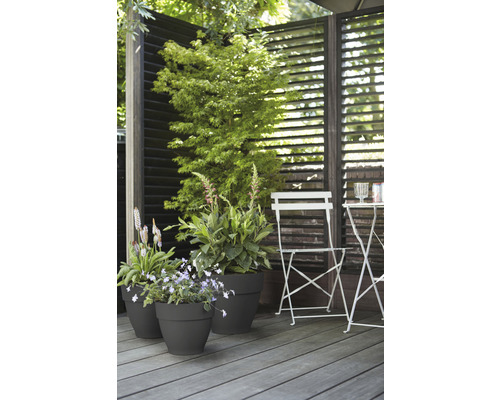 Aangelegde terras met planten in potten, privacyscherm en zitgroep.