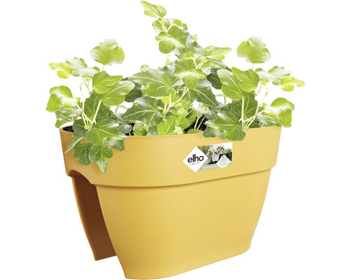 Gele balkonbak met klimop