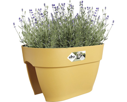 Bloembak met lavendel voor buiten