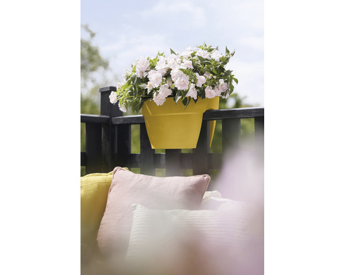 Gele balkonbak met witte bloemen op een balkonreling