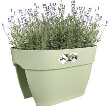 Bloempot met lavendel op balkon