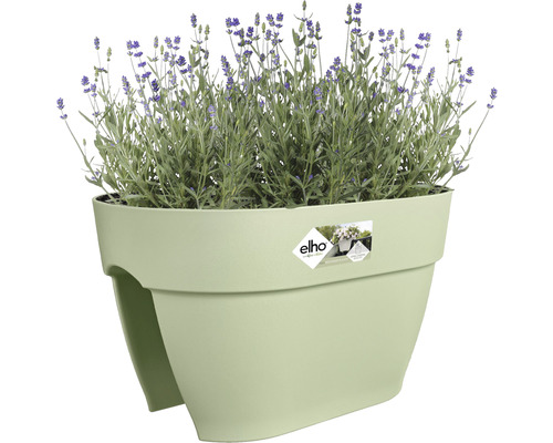 Bloempot met lavendel op balkon