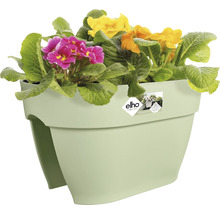 Kunststof bloembak met kleurrijke voorjaarsbloemen