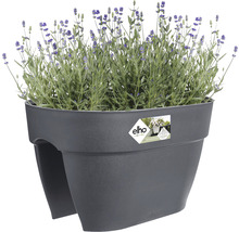 Balkon bloembak met lavendel