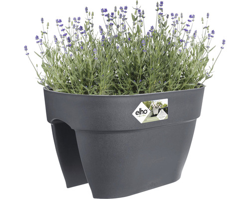 Balkon bloembak met lavendel