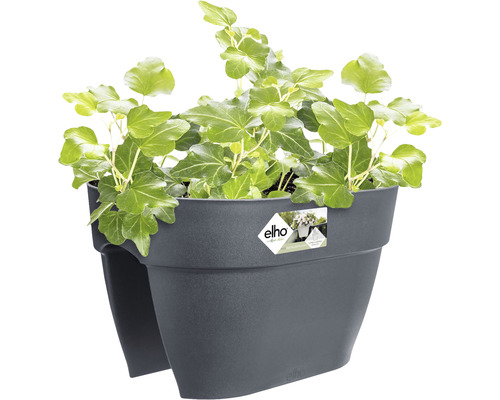 Donkergrijze Elho plantenbak met klimop