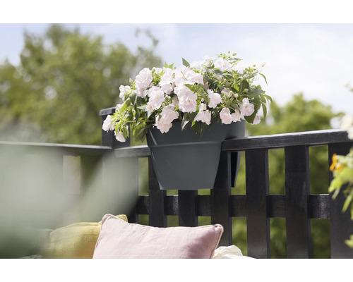 Bloembak aan balkonreling met volle beplanting