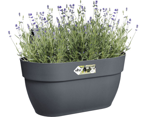 Grijze plantenbak met lavendelplanten