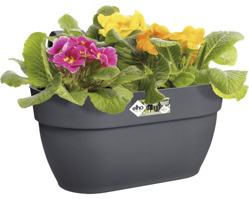 Grijze balkonbak met primula''s