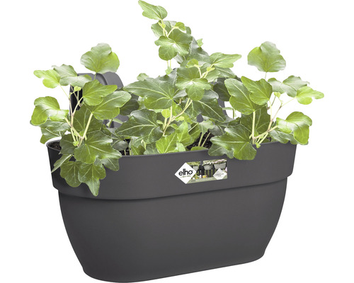 Grijze bloembak met klimop