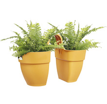 Twee kamerplanten varens in gele plantenbakken