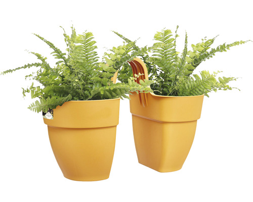 Twee kamerplanten varens in gele plantenbakken