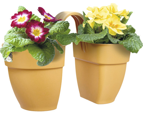 Dubbele bloembak met gele en rode primula''s