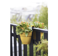 Twee bloempotten met planten aan de reling