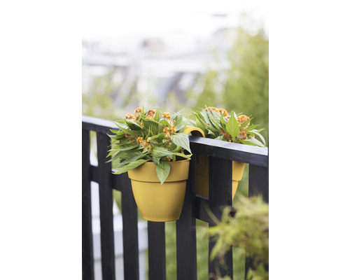 Twee bloempotten met planten aan de reling