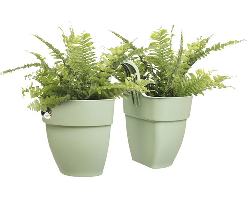 Twee hangpotten met varens in kunststof potten