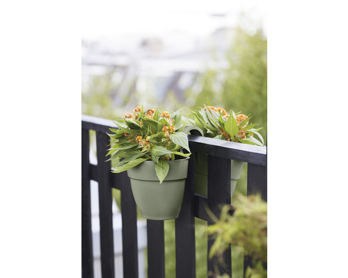 Twee bloempotten met planten aan de reling