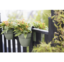 Drie groene bloempotten met planten hangen aan een donker hek.