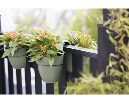 Drie groene bloempotten met planten hangen aan een donker hek.