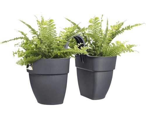 Twee grijze hangpotten beplant met varen
