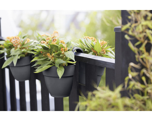 Bloemen in balkonbakken hangen aan een balkonreling.