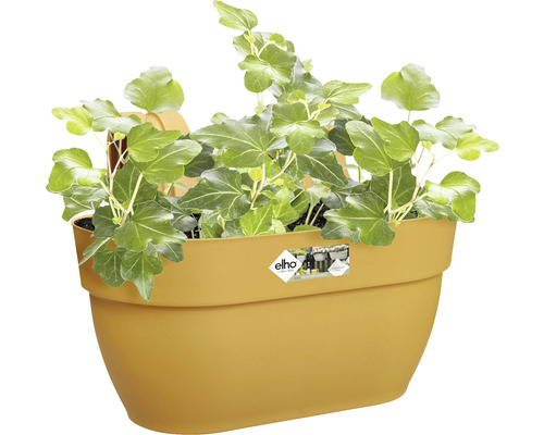 Gele bloempot met klimop