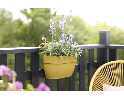 Gele balkonbak met paarse bloemen op een balkonreling