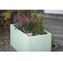 Rechthoekige metalen plantenbak met planten
