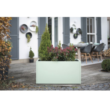 Scene met een rechthoekige plantenbak met planten in de tuin