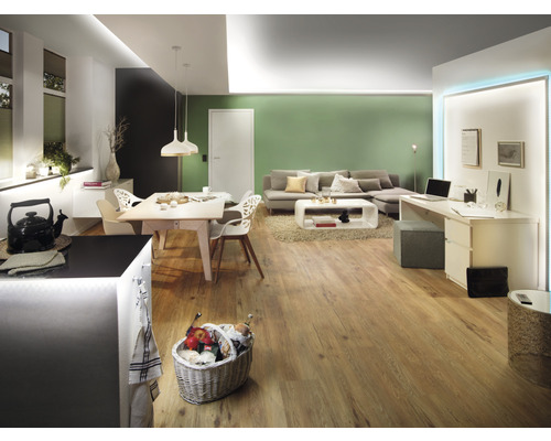 Lichte woonkamer met eetgedeelte, werkruimte en houten vloer