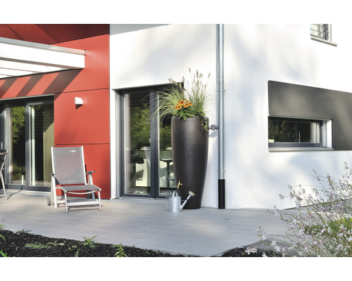 Scene met regenton, planten en gieter op een terras