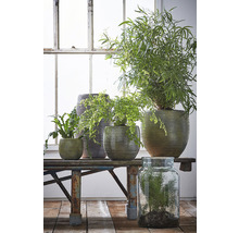 MICA DECORATIONS Vaas Vienne glas Ø 21 H 35 cm