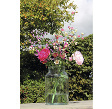 MICA DECORATIONS Vaas Vienne glas Ø 21 H 35 cm