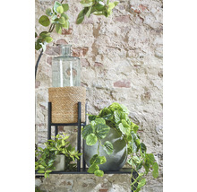 Decoratieve opstelling met planten, bloempot en glazen houder op een plank voor een stenen muur