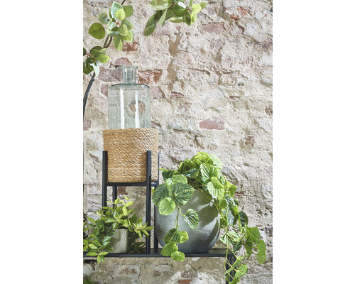 Decoratieve opstelling met planten, bloempot en glazen houder op een plank voor een stenen muur